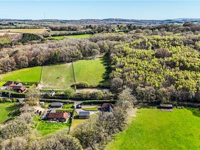 Picture 53